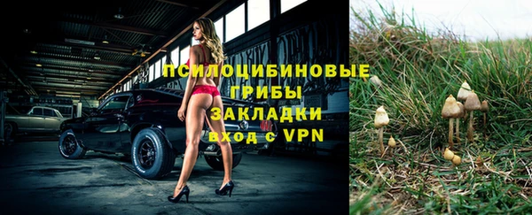 молекула духа Михайлов