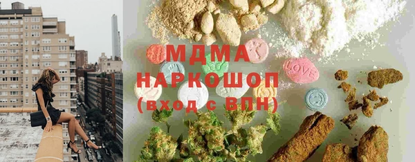 индика Горняк