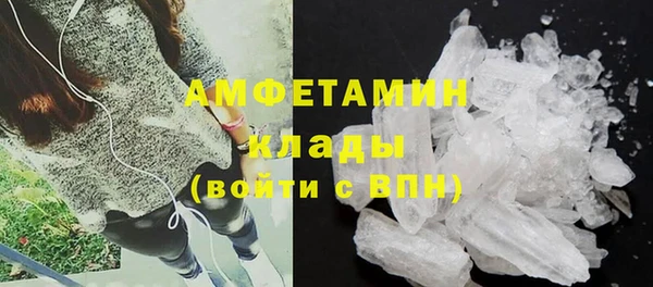 молекула духа Михайлов