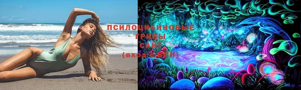 молекула духа Михайлов