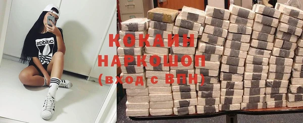 крисы Михайловск