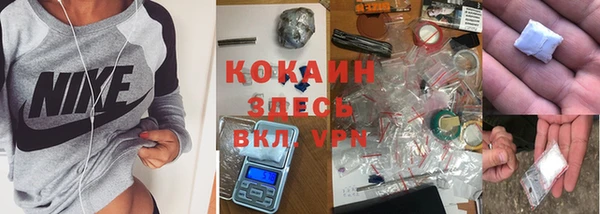 крисы Михайловск