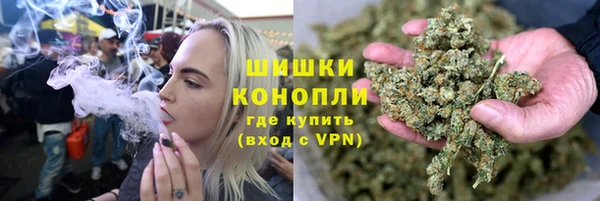 молекула духа Михайлов