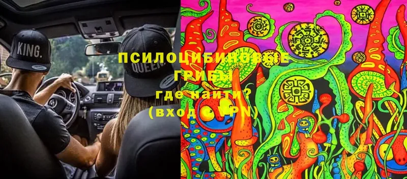 Галлюциногенные грибы Cubensis  цена наркотик  omg tor  Наволоки 